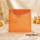 Organza Saree Cover